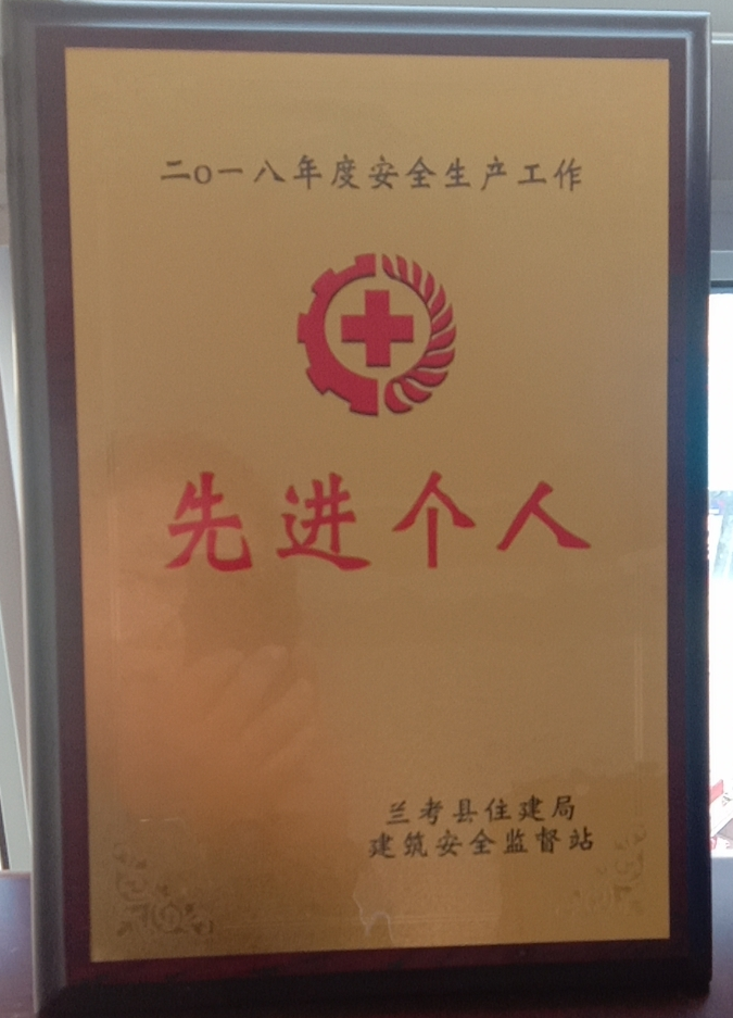 公司總經理被評為先進個人